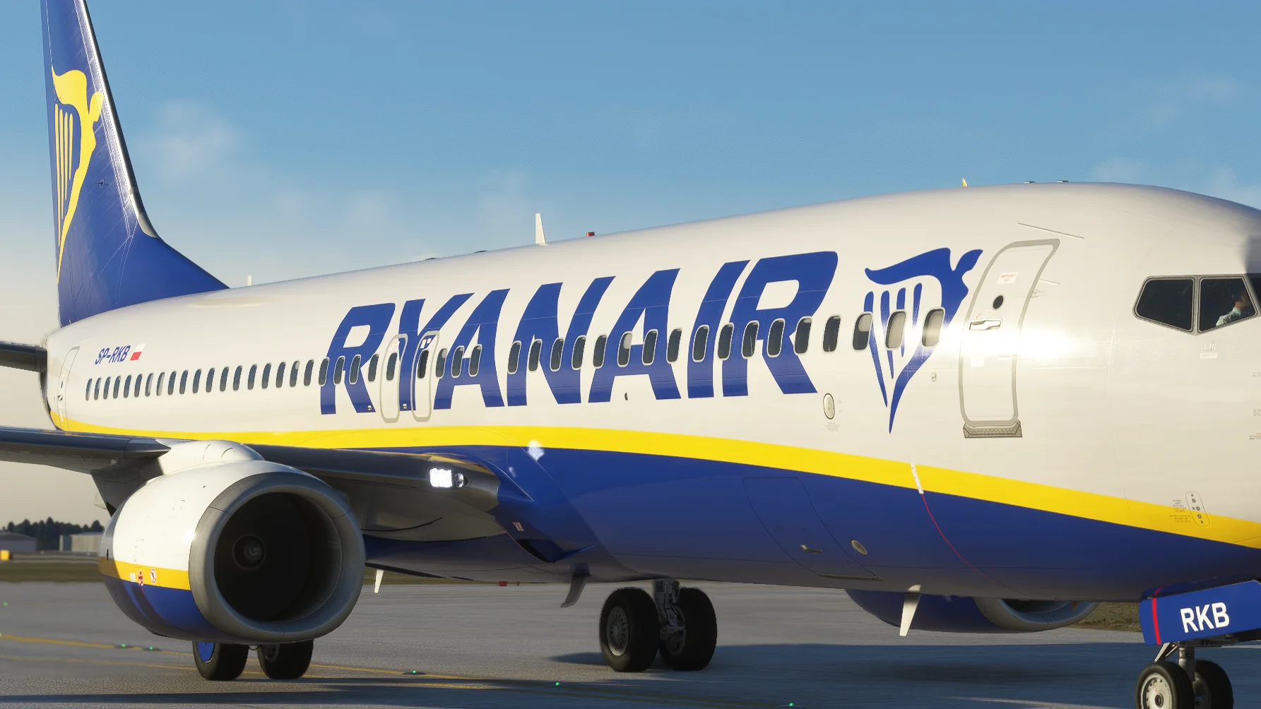 Microsoft Flight Simulator 28_11_2022 11_17_03.webp